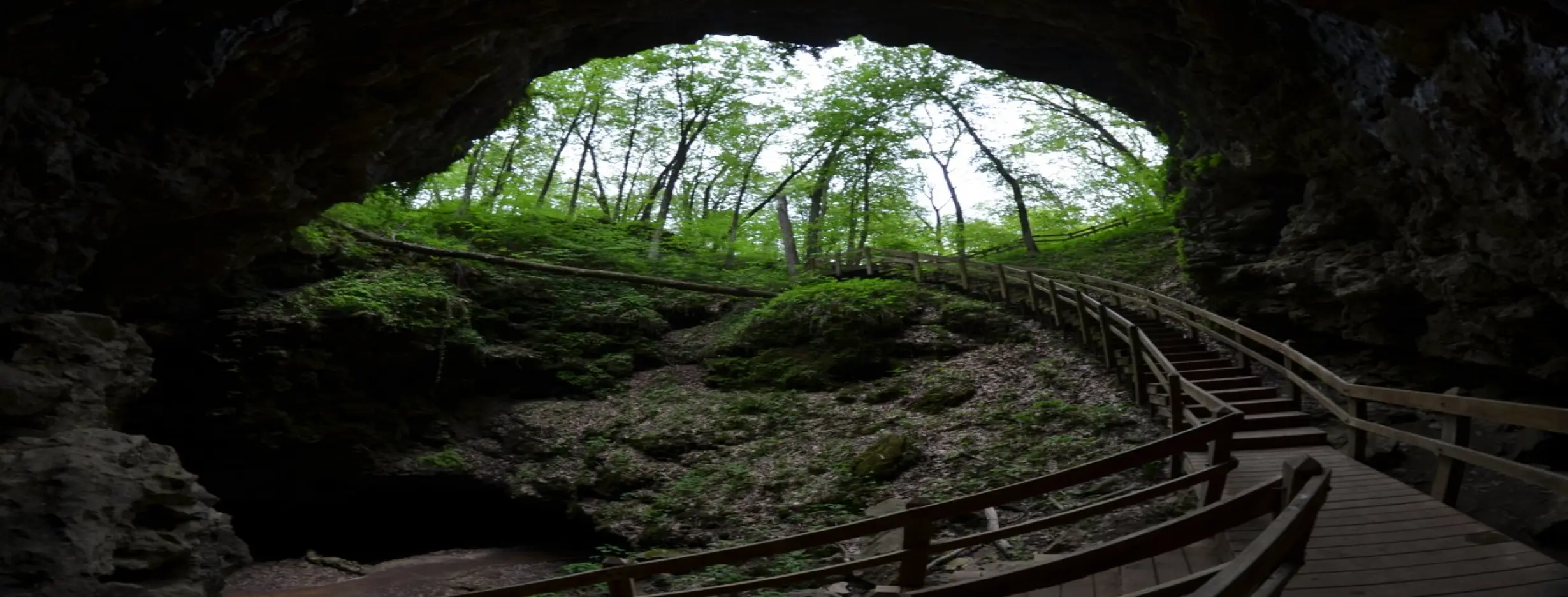 Image for Natural Wonders